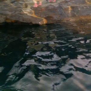 Meet your Posher, Kaylee